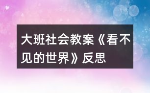 大班社會教案《看不見的世界》反思