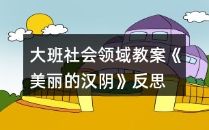 大班社會領(lǐng)域教案《美麗的漢陰》反思