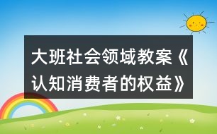 大班社會領(lǐng)域教案《認(rèn)知消費(fèi)者的權(quán)益》反思