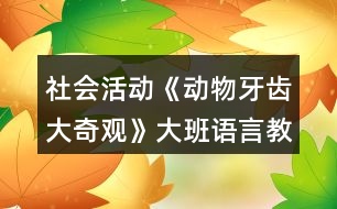 社會活動《動物牙齒大奇觀》大班語言教案