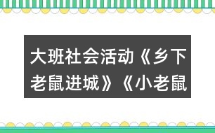 大班社會活動《鄉(xiāng)下老鼠進(jìn)城》《小老鼠進(jìn)城》教案點(diǎn)評反思