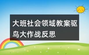 大班社會(huì)領(lǐng)域教案驅(qū)鳥大作戰(zhàn)反思