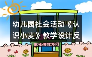 幼兒園社會活動《認(rèn)識小麥》教學(xué)設(shè)計(jì)反思