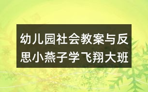 幼兒園社會教案與反思小燕子學飛翔（大班）