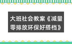 大班社會(huì)教案《減量零排放環(huán)保好搭檔》垃圾分類環(huán)保反思