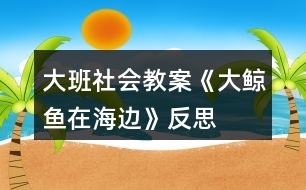 大班社會(huì)教案《大鯨魚(yú)在海邊》反思