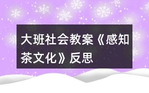 大班社會教案《感知茶文化》反思