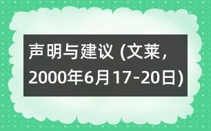 聲明與建議 (文萊，2000年6月17-20日)