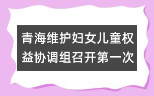 青海維護婦女兒童權(quán)益協(xié)調(diào)組召開第一次會議