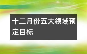 十二月份五大領(lǐng)域預(yù)定目標(biāo)