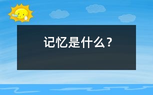 記憶是什么？