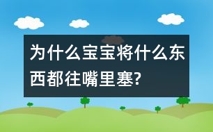 為什么寶寶將什么東西都往嘴里塞?