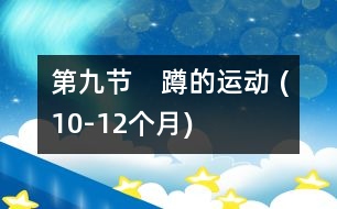 第九節(jié)　蹲的運動 (10-12個月)