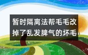 暫時隔離法幫毛毛改掉了亂發(fā)脾氣的壞毛病