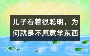 兒子看著很聰明，為何就是不愿意學東西