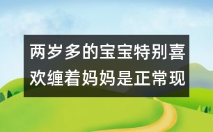 兩歲多的寶寶特別喜歡纏著媽媽是正?，F(xiàn)象