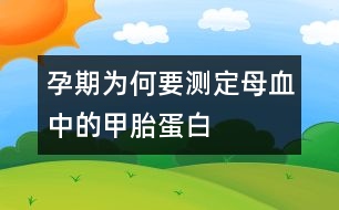 孕期為何要測定母血中的甲胎蛋白