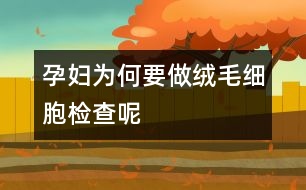 孕婦為何要做絨毛細胞檢查呢