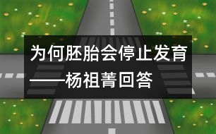 為何胚胎會(huì)停止發(fā)育――楊祖菁回答