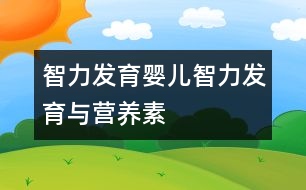 智力發(fā)育,嬰兒智力發(fā)育與營(yíng)養(yǎng)素