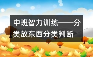 中班智力訓練――分類放東西（分類、判斷、習慣、記憶）