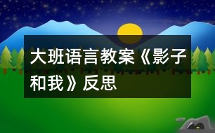 大班語(yǔ)言教案《影子和我》反思