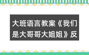 大班語(yǔ)言教案《我們是大哥哥大姐姐》反思