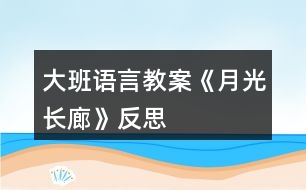 大班語言教案《月光長廊》反思