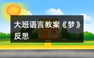 大班語言教案《夢》反思