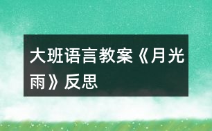 大班語言教案《月光雨》反思