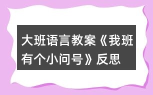 大班語言教案《我班有個小問號》反思