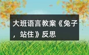 大班語言教案《兔子，站住》反思