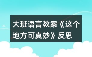 大班語言教案《這個(gè)地方可真妙》反思