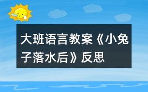 大班語(yǔ)言教案《小兔子落水后》反思