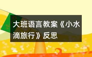 大班語言教案《小水滴旅行》反思