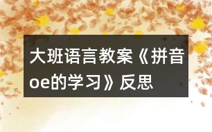 大班語言教案《拼音o、e的學(xué)習(xí)》反思