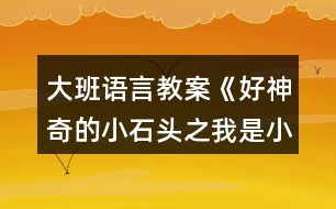 大班語言教案《好神奇的小石頭之我是小作者》反思