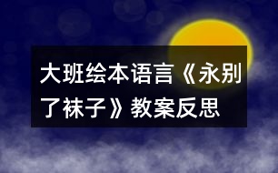 大班繪本語(yǔ)言《永別了襪子》教案反思