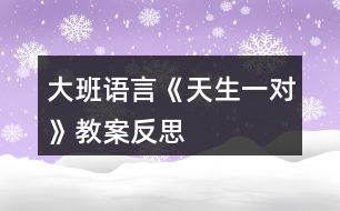 大班語言《天生一對》教案反思