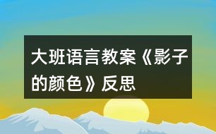 大班語(yǔ)言教案《影子的顏色》反思