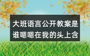 大班語言公開教案是誰嗯嗯在我的頭上含上課反思