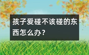 孩子愛碰不該碰的東西怎么辦？