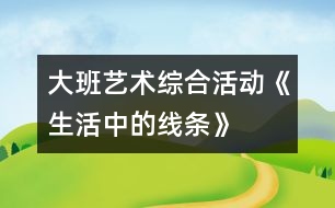 大班藝術(shù)綜合活動《生活中的線條》