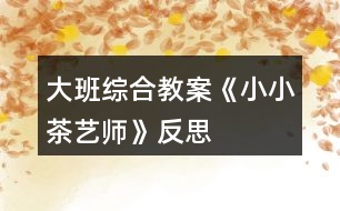 大班綜合教案《小小茶藝師》反思