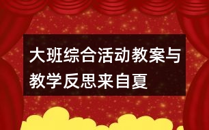 大班綜合活動教案與教學反思——來自夏天的故事