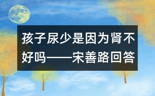 孩子尿少是因為腎不好嗎――宋善路回答