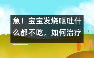 急！寶寶發(fā)燒嘔吐什么都不吃，如何治療――康宏回答