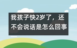 我孩子快2歲了，還不會說話是怎么回事――林茅回答