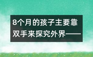 8個(gè)月的孩子主要靠雙手來探究外界――杜亞松回答