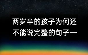 兩歲半的孩子為何還不能說完整的句子――趙惠君回答